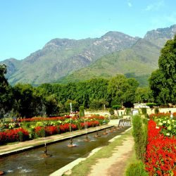 Nishat Bagh