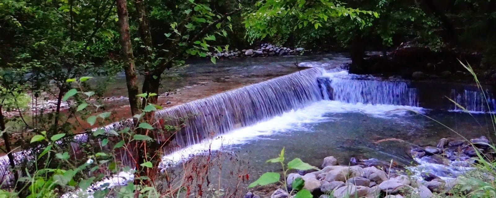 Dachigam
