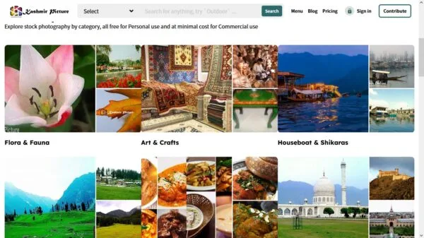 https://kashmirpicture.com/
