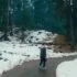 a person standing on a snowy path in the woods