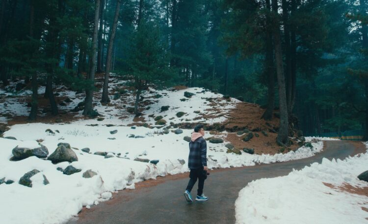 a person standing on a snowy path in the woods