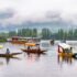 Shikara Boats floating on top of a lake