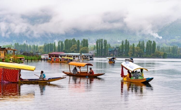 Shikara Boats floating on top of a lake