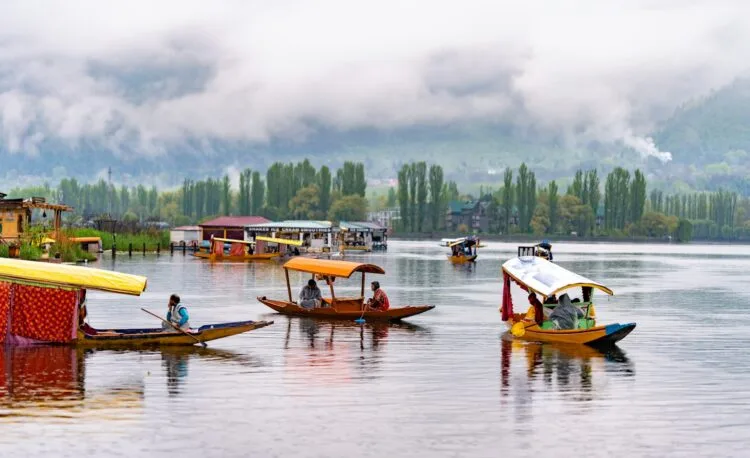 Shikara Boats floating on top of a lake